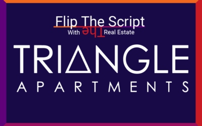 Flip the Script – Triangle Apartments